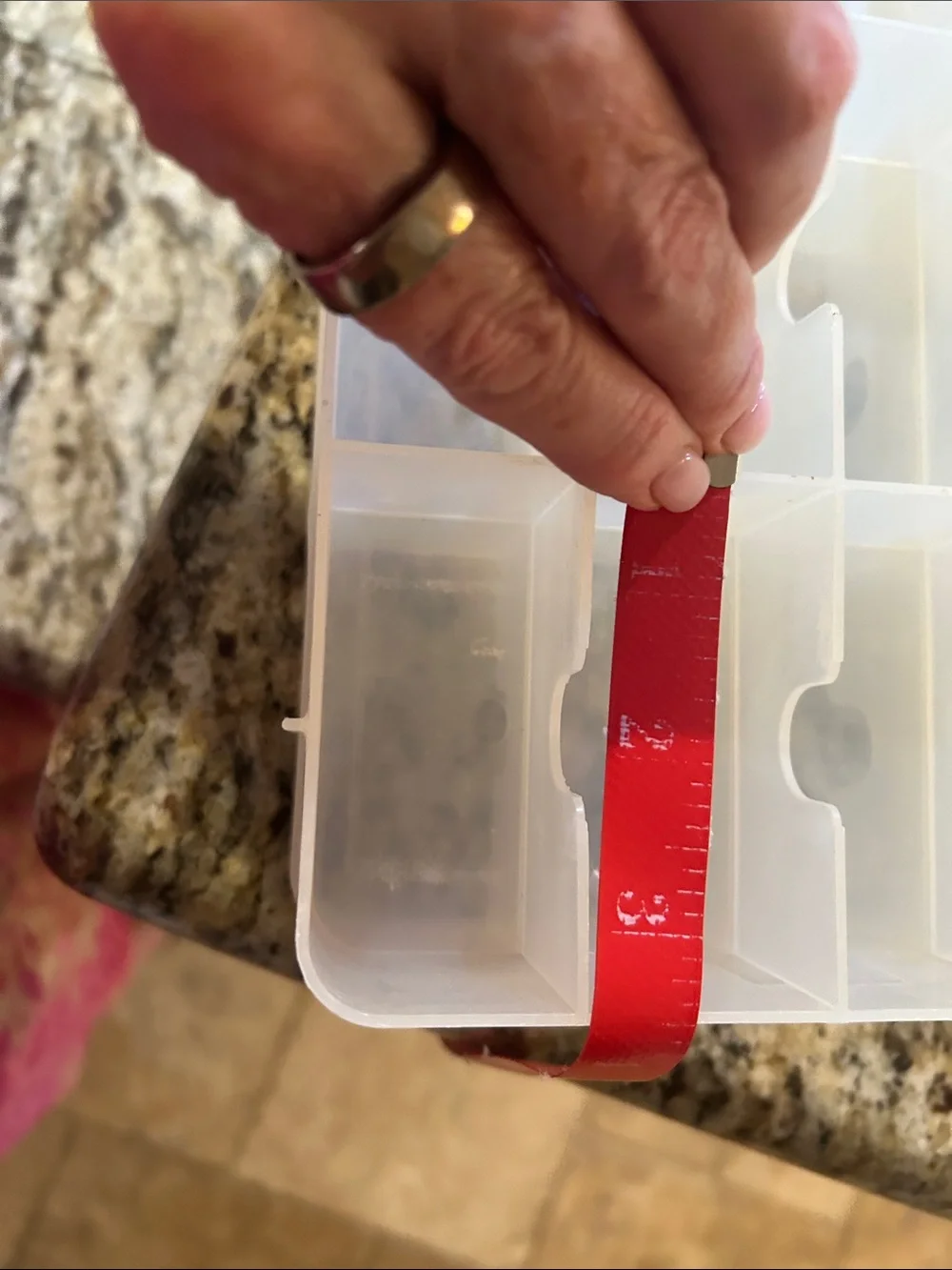 Multi-Compartment Clear Plastic Double Sided Organizer with Caring Handle